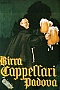 Manifesto pubblicitario Padova '900 (Luciana Rampazzo)